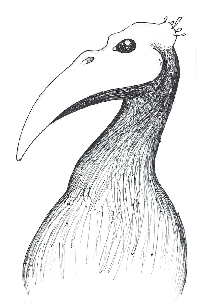 Bird pen drawing. 2018.
